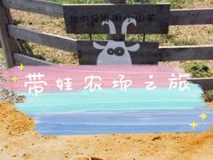 -前小桔亲子创意农场·草莓采摘·露营烧烤