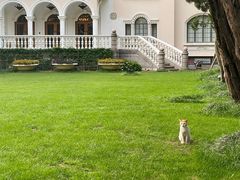 -上海安亭别墅花园酒店