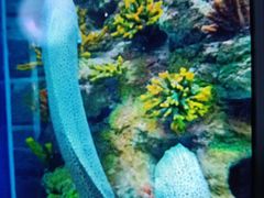 -乌鲁木齐海洋馆