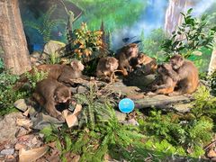 -湖南省地质博物馆