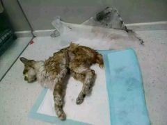 android_upload_pic-盛京一禾