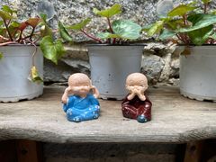 -寂照庵