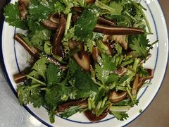 -呼吸森林·生态农庄农家乐私房菜