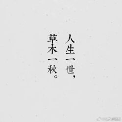 -晶奕空间专业脱毛连锁机构
