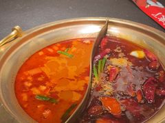 -熊喵来了火锅(四平万达第56分店)