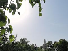 -祥源·阜阳生态乐园