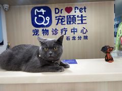 -宠颐生宠物医院外科·内科·皮肤科·影像科(石龙店)