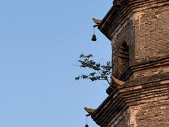 -巴陵广场