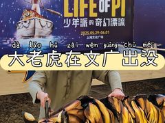 -上海文化广场
