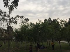 -火炉山森林公园