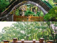 -申粤轩酒楼·三十年粤菜经典(丁香花园店)