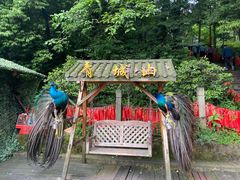-青城山