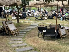 -桃源山庄·水蜜桃采摘·柴火鸡·烧烤团建(龙泉山店)