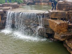 -曹州牡丹园