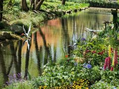 -上海共青森林公园