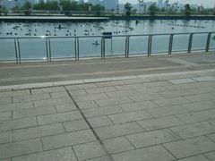 android_upload_pic-秋水广场音乐喷泉