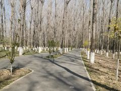 -东郊湿地公园
