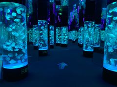 -成都浩海立方海洋公园