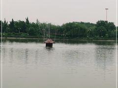 -马帮寨院坝火锅(龙港公园店)