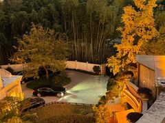 -叶叶菩提(太原别墅店)