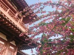 景点-西安青龙寺遗址景区