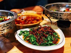 豆豉鲮鱼油麦菜-老蜀人川菜馆(中关村店)