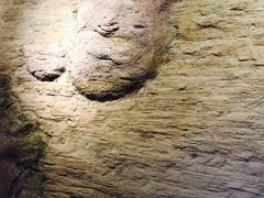 iphone_upload_pic-孙权墓遗址