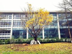 -广东外语外贸大学(白云山校区)