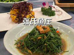 -张氏鱼庄