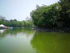 -莲湖公园