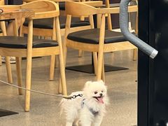 -AFTERWORK健身(万通中心店)