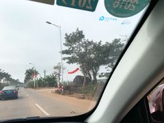 -东海岛旅游度假区