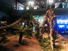 -自贡恐龙博物馆