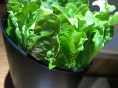 -九田家黑牛烤肉料理(二天地店)