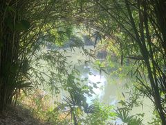 -八大山人梅湖景区