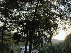 -广州市白云山风景名胜区