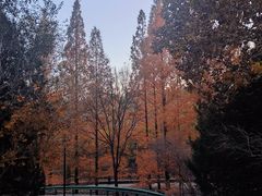 -白水寺森林公园