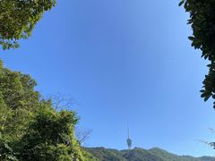 -梧桐山风景名胜区