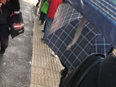 -上海市徐汇区口腔医院