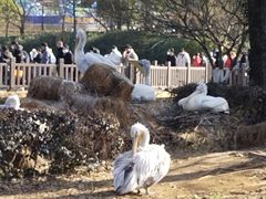 -无锡动物园·太湖欢乐园