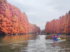-上海海湾国家森林公园
