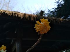 -圩墩遗址公园