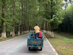 -黄海国家森林公园