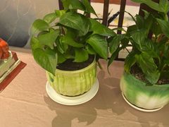 -顺味凤城·顺德菜专门店(九六广场店)