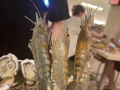 -白仁仔· 活烤海鲜 宵夜(豫园店)