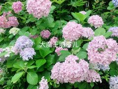 景点-阿哈湖国家湿地公园