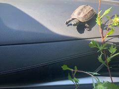 -玉渡山风景区-售票处