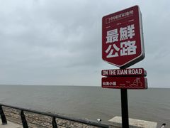 -吕四渔港