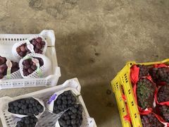 -马陆小张葡萄园农家乐