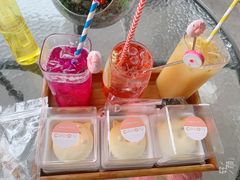 -柴犬高等学院·狗咖·柴犬售卖·宠物训练